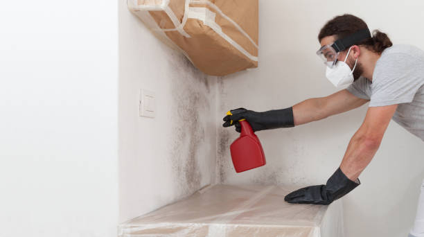 Professional Crawl Space Mold Remediation technician working in Bunnlevel, NC