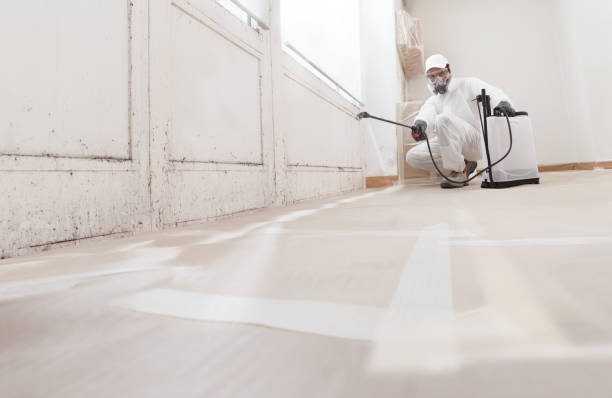 24/7 Emergency Crawl Space Mold Remediation experts in Bunnlevel, NC
