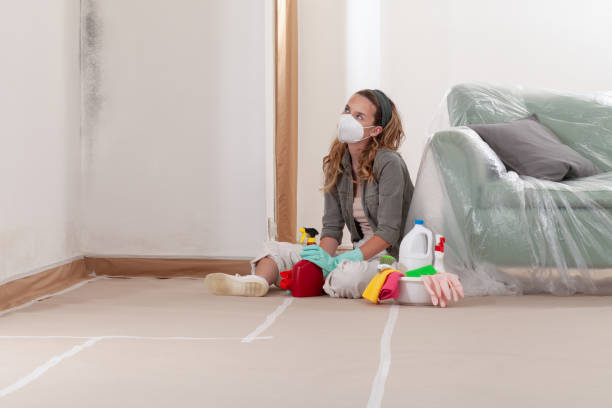 Reliable Crawl Space Mold Remediation contractor in Bunnlevel, NC by 24 Hour Mold Removal