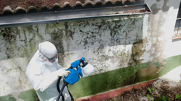 Top rated local Crawl Space Mold Remediation specialists in Bunnlevel, NC